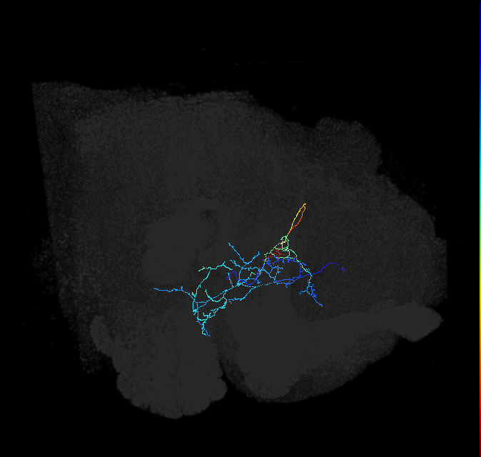 ADL21f_b_pct_R
