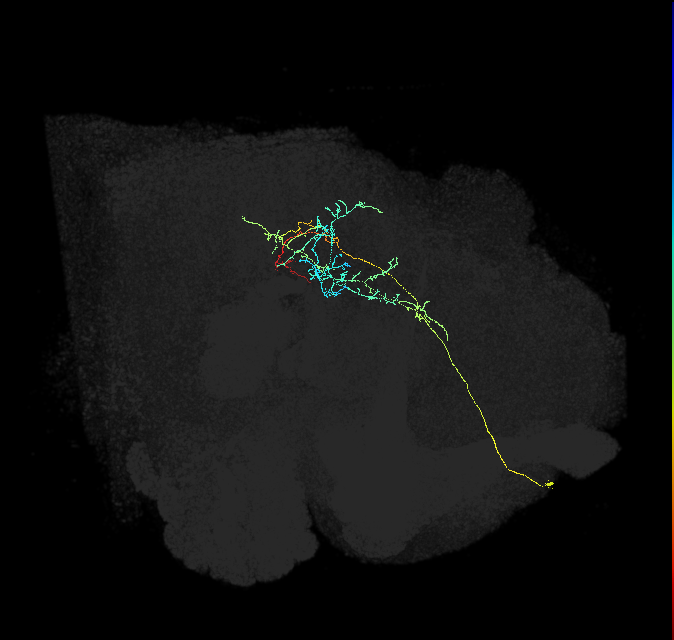 ADM01f_pct(aSP1a)_R