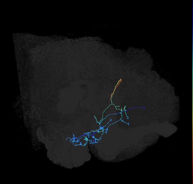 ADL21n_pct_R