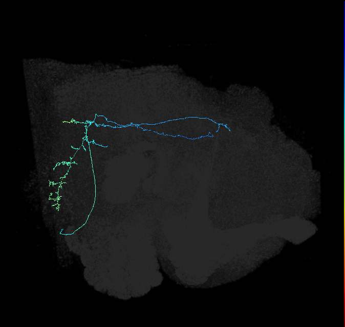 AVL01s_pct_R