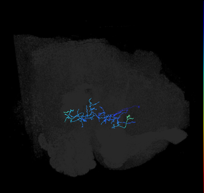 ADL01ow_pct(aSP8a)_R