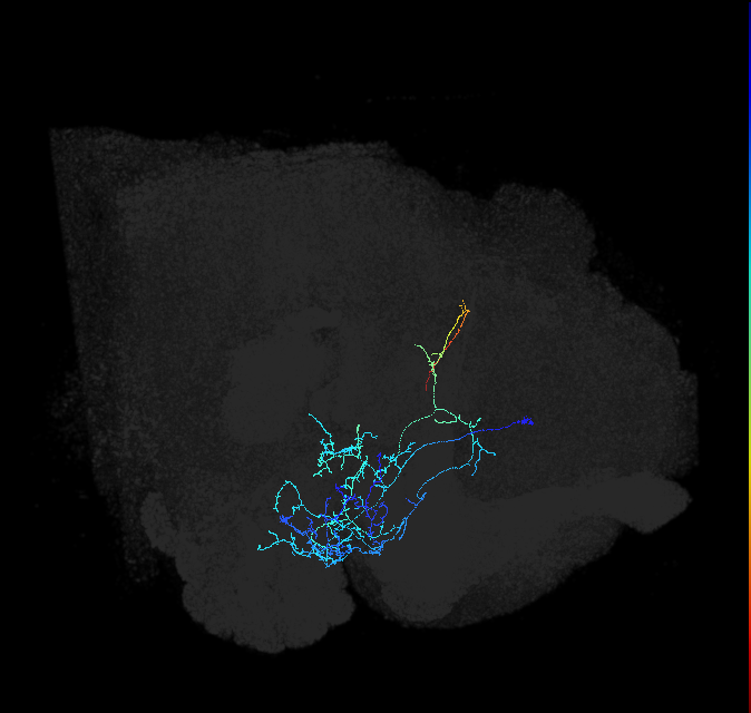 ADL21n_pct_R