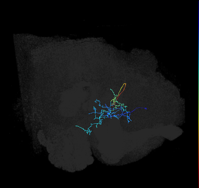 ADL21f_b_pct_R