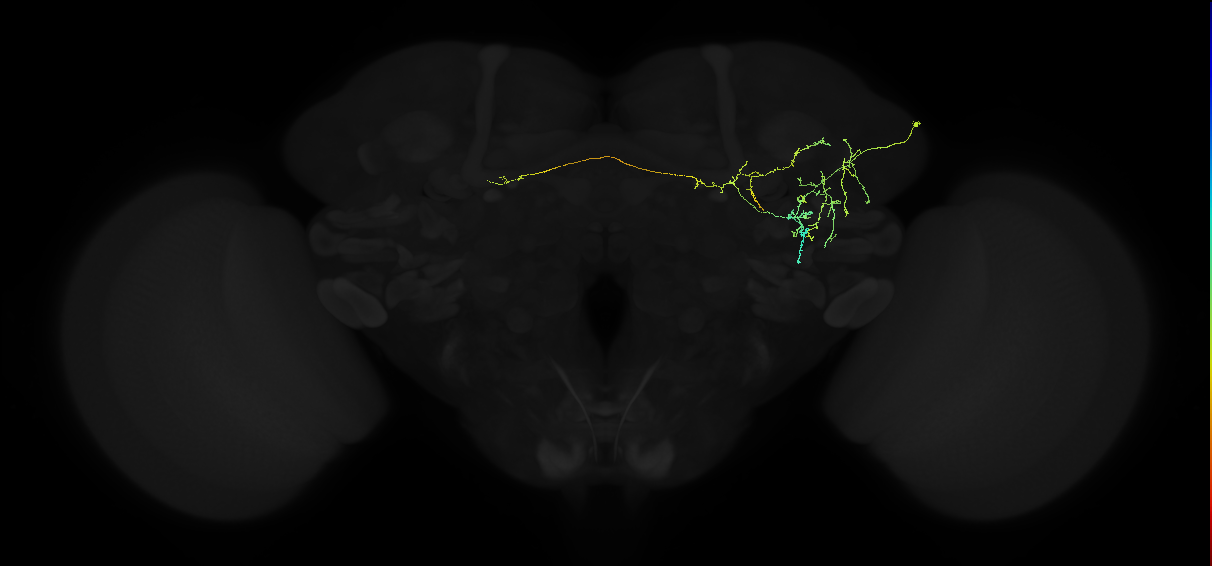 ADL21f_b_pct_R