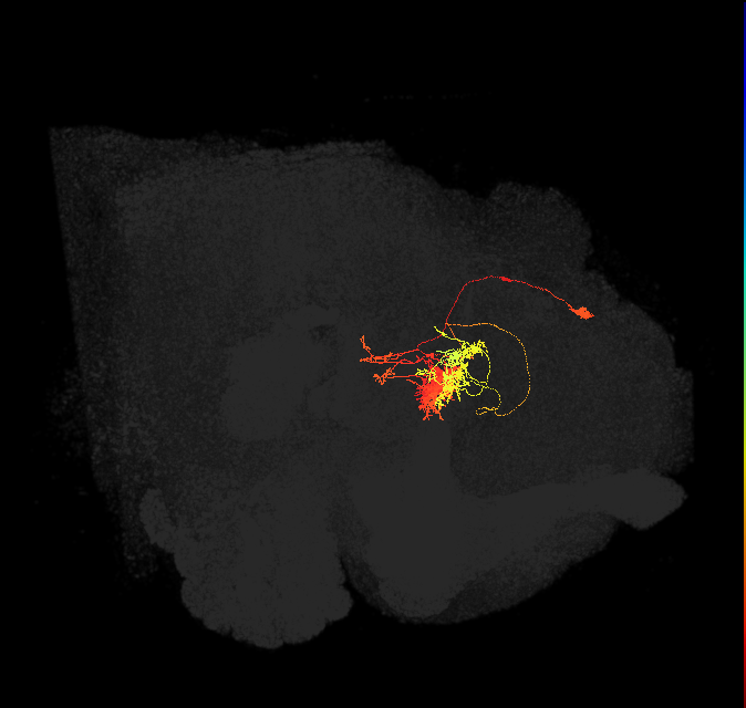 Delta6G_12
