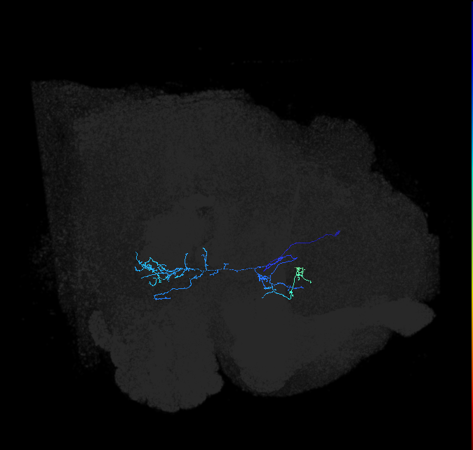 ADL01ow_pct(aSP8a)_R