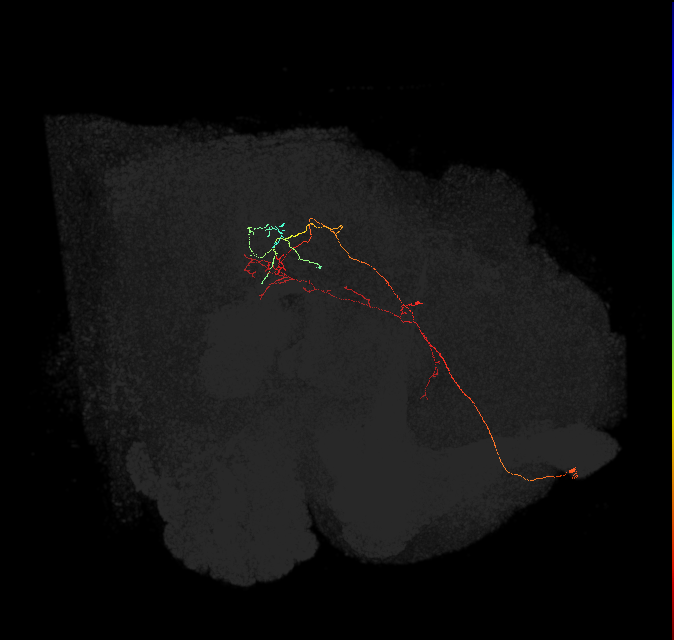 ADM01lb_pct(ADM01)_L