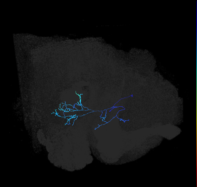 ADL01b_pct_R