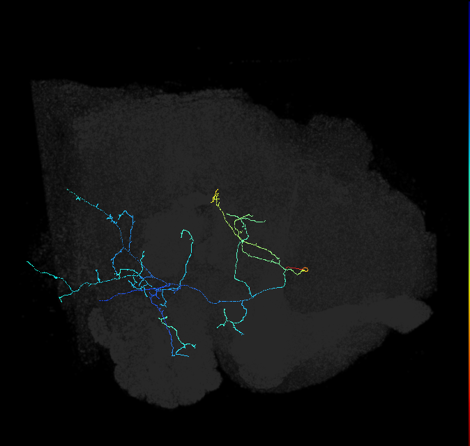 AVL02lg_pct_R