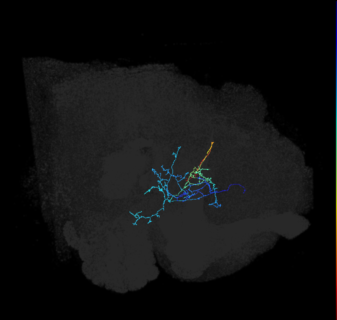 ADL21f_b_pct_R