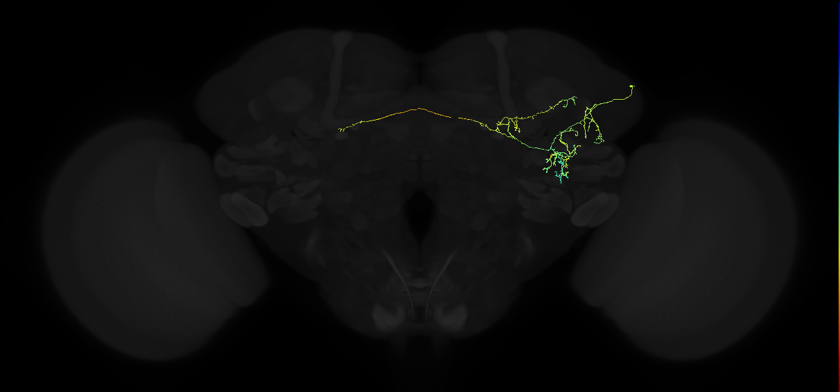 ADL21f_b_pct_R