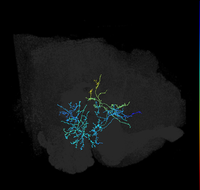 ADL21r_pct_R