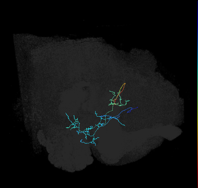 ADL02oc_pct_R