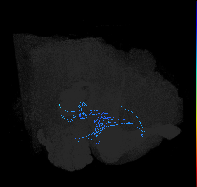 ADL14j_pct_R