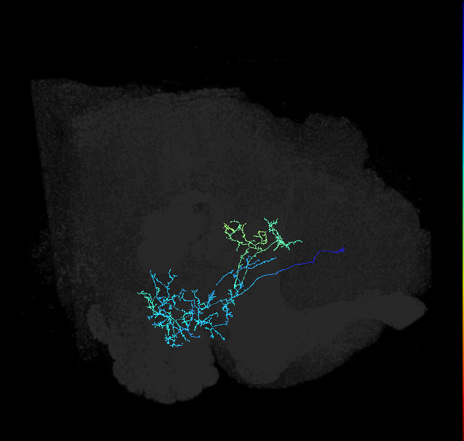 ADL21b_pct_R
