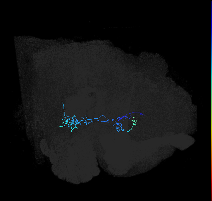 ADL01ow_pct(aSP8a)_R