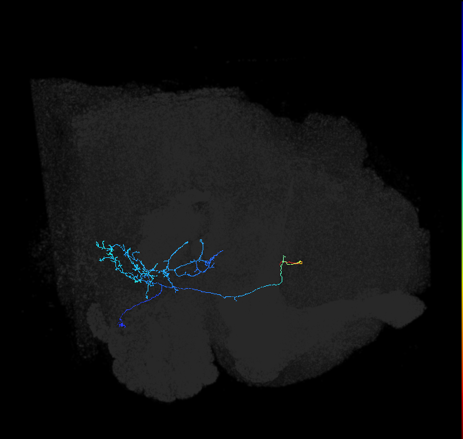 AVL02ls_pct(aIP2a)_R