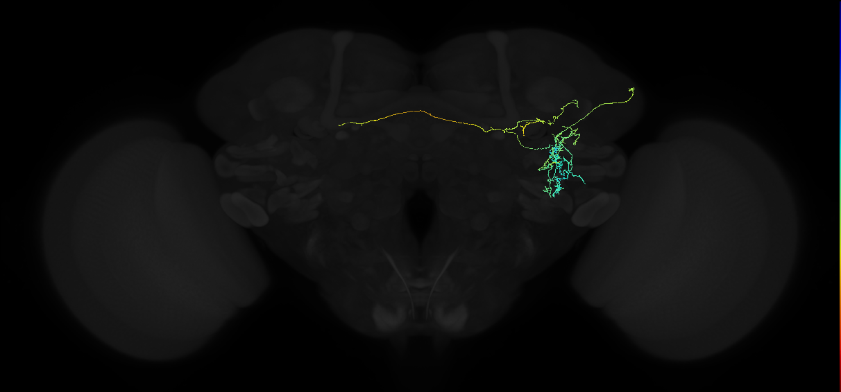 ADL21f_a_pct_R