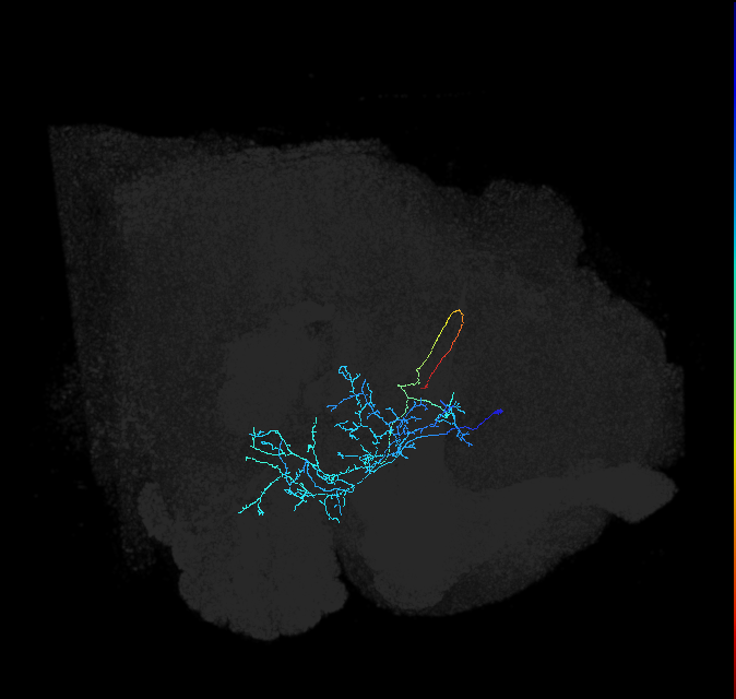 ADL21f_a_pct_R