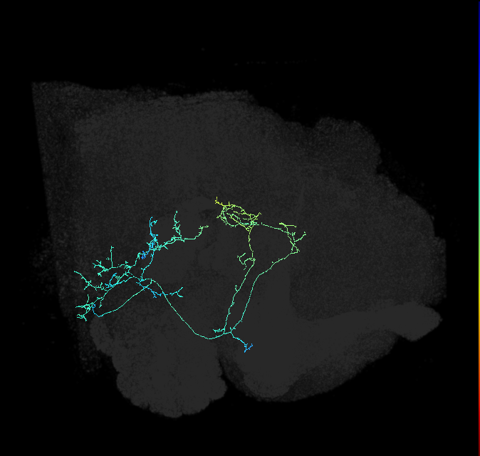 AVL01old_pct_R