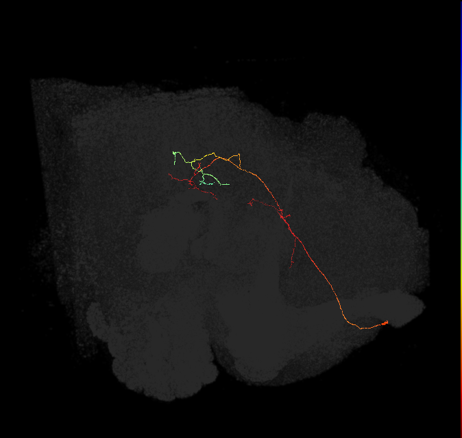ADM01lc_pct(ADM01)_L