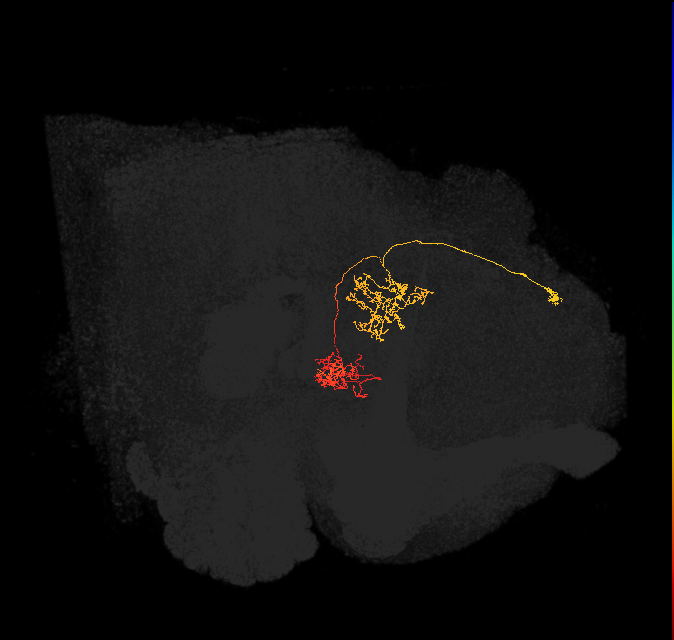 Delta6J_07