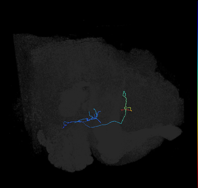AVL02lr_pct_R