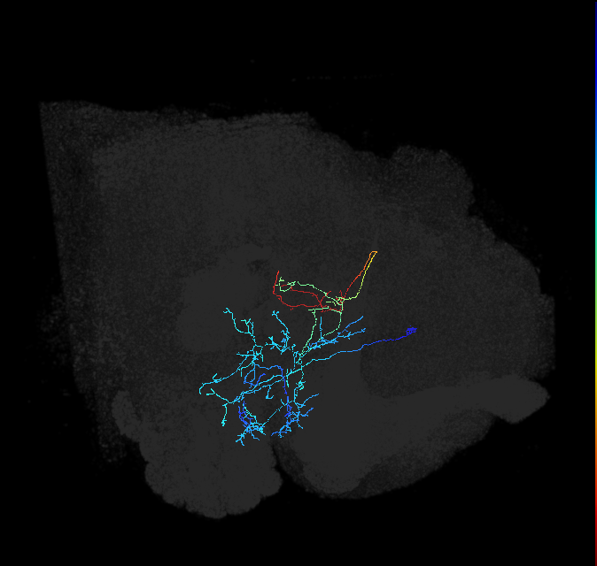 ADL21c_pct_R