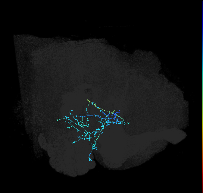 aSP10C_b(aSP10c)_R