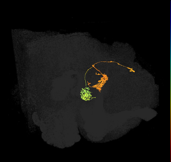 Delta6A_08