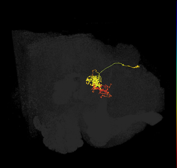 Delta6J_04