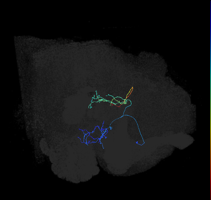 ADL12c_pct_R