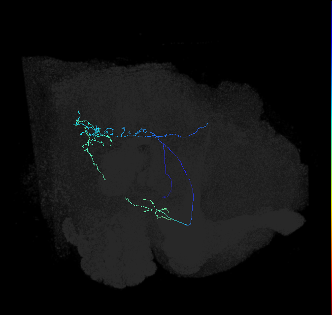 AVL04s_a_pct_R