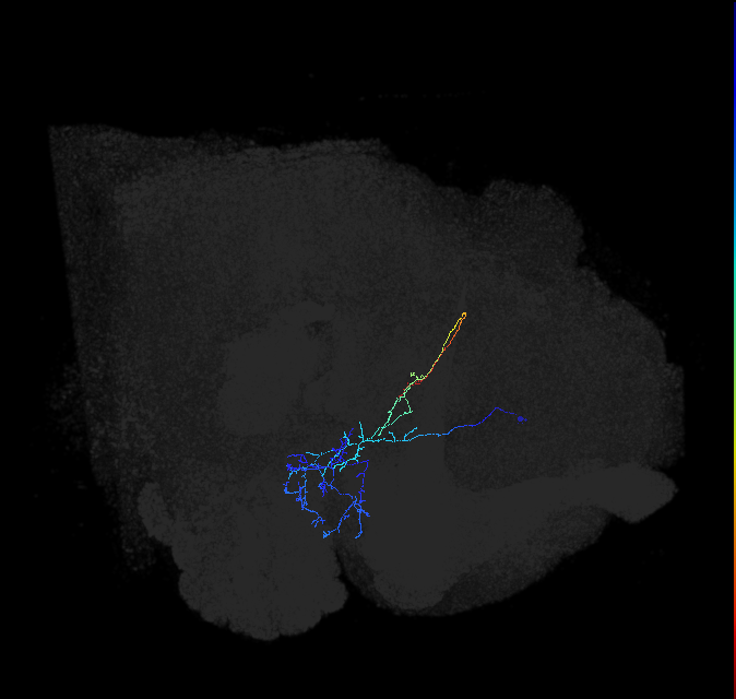 ADL21k_b_pct_R
