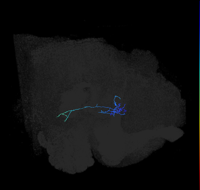 ADL01k_pct_R