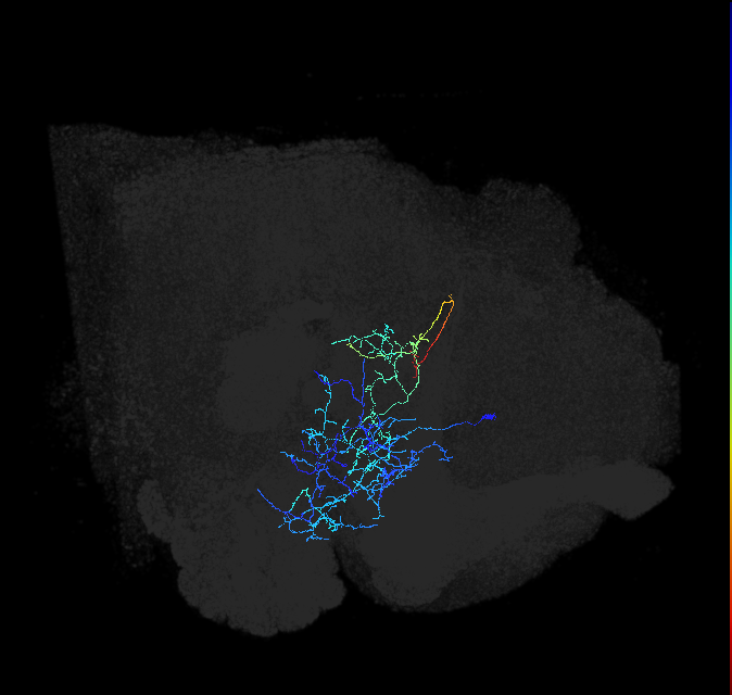 ADL21i_pct_R