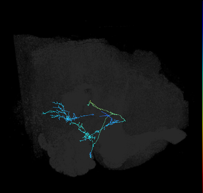 aSP10C_b(aSP10c)_R