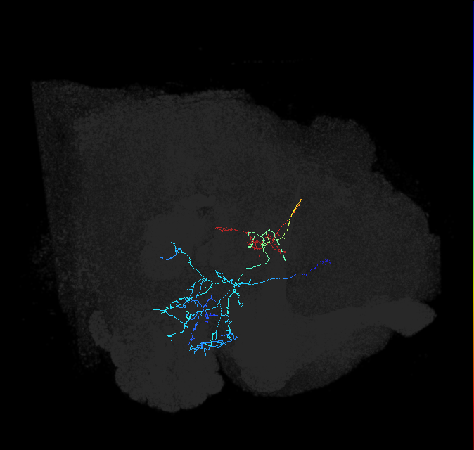 ADL21k_a_pct_R