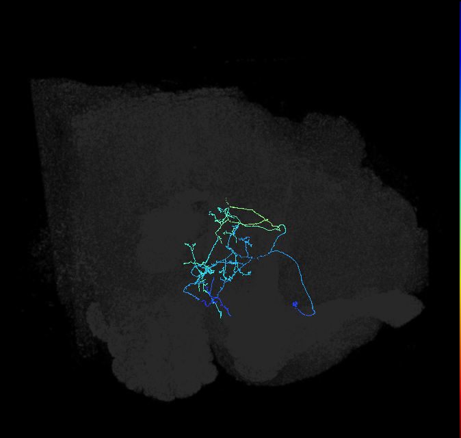 ADL12oc_pct_R