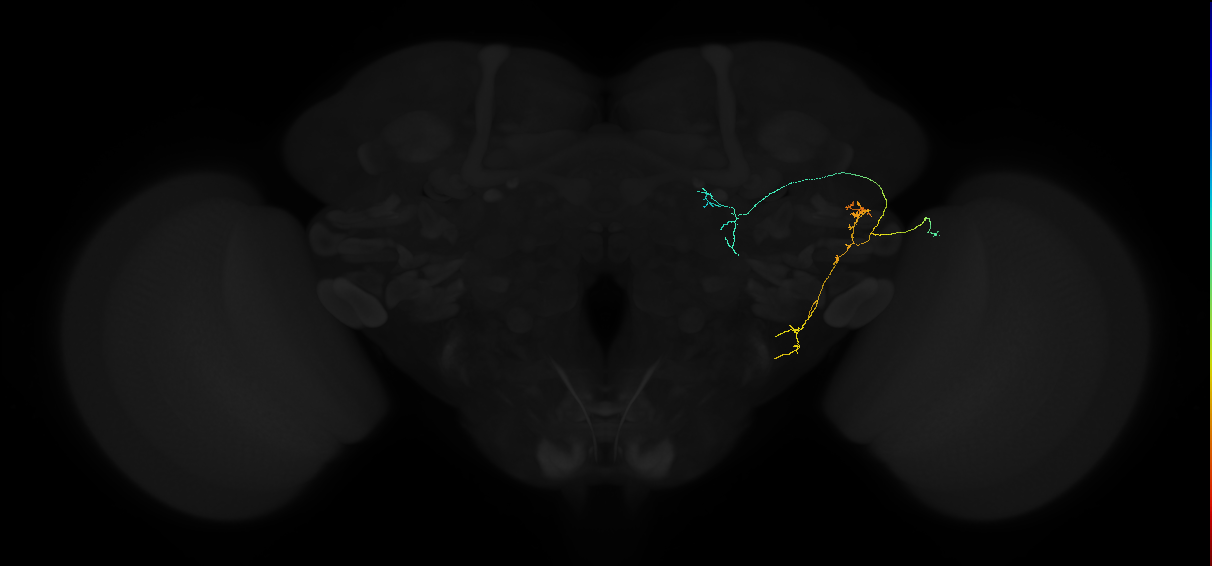 AVL04g_pct_R