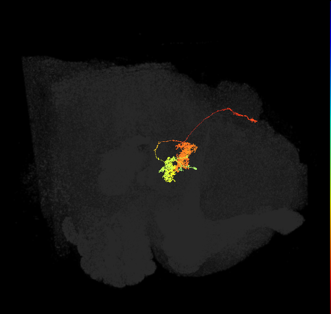 Delta6B_10