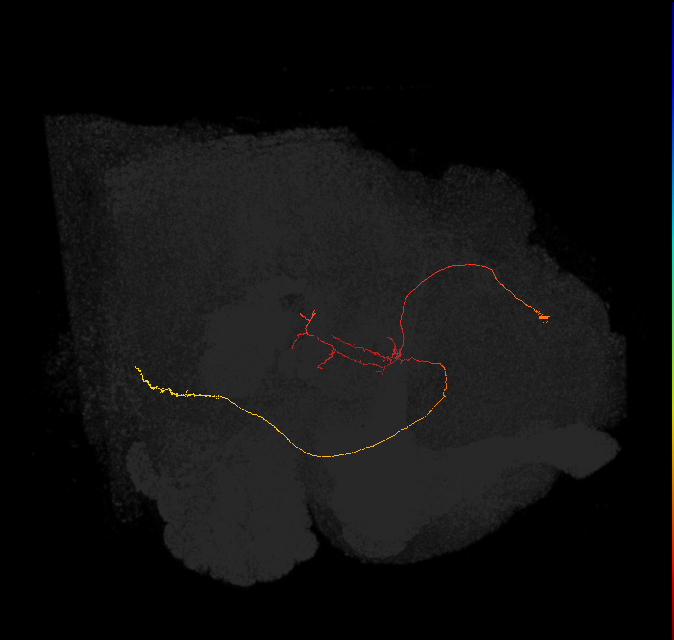 (PDM12)_L