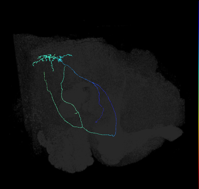 AVL04v_d_pct_R