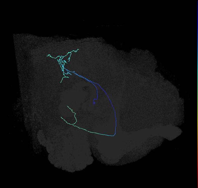 AVL04r_pct_R