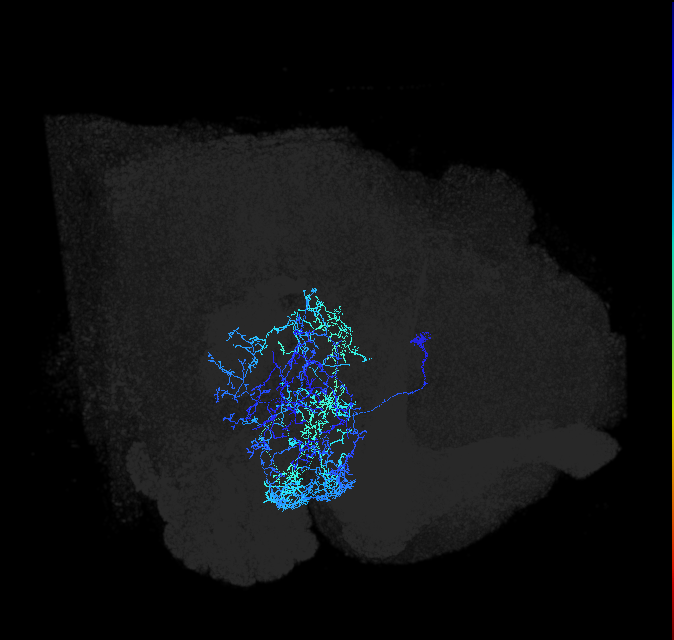 ADL26d_pct_R