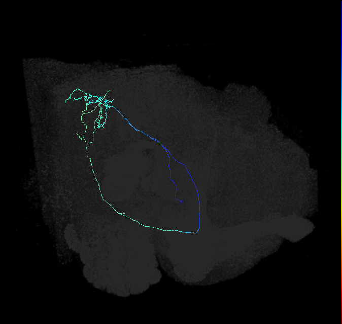 AVL04v_d_pct_R