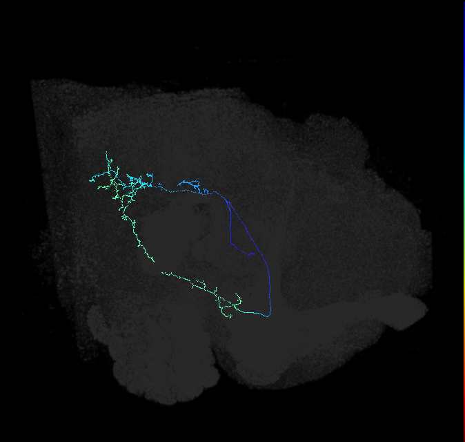 AVL04s_a_pct_R