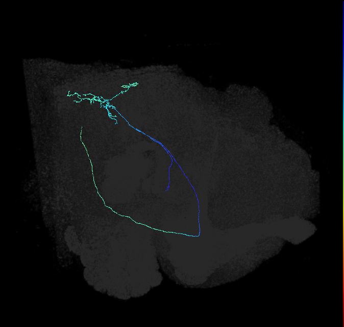 AVL04v_b_pct_R