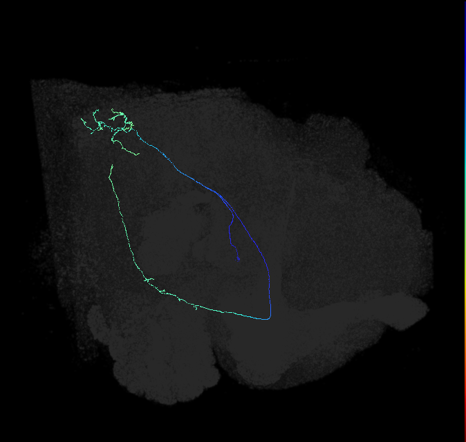 AVL04v_c_pct_R