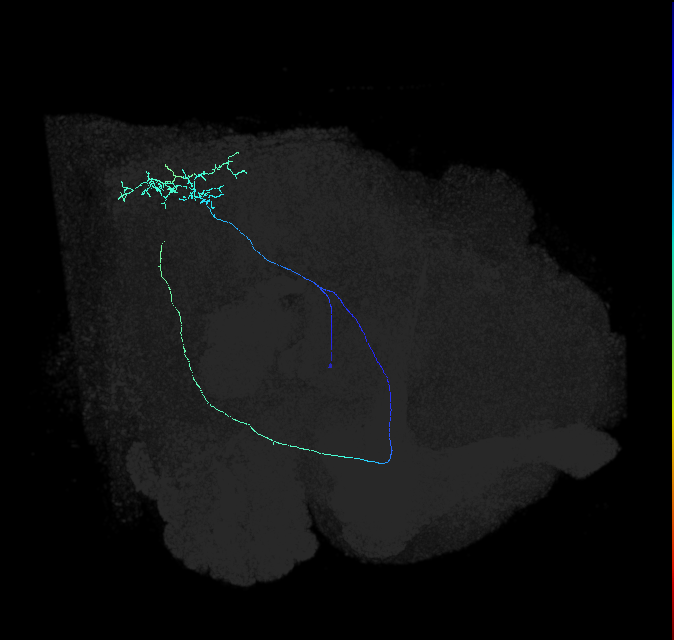 AVL04v_e_pct_R